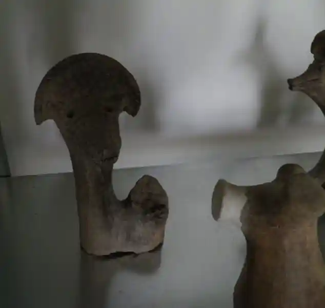 Claystone, animal with halo